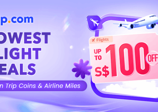 Fun Twin Room (2 Beds)