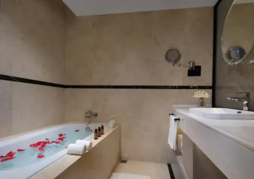 Lotus Pond Moonlight Executive Double Bed Room